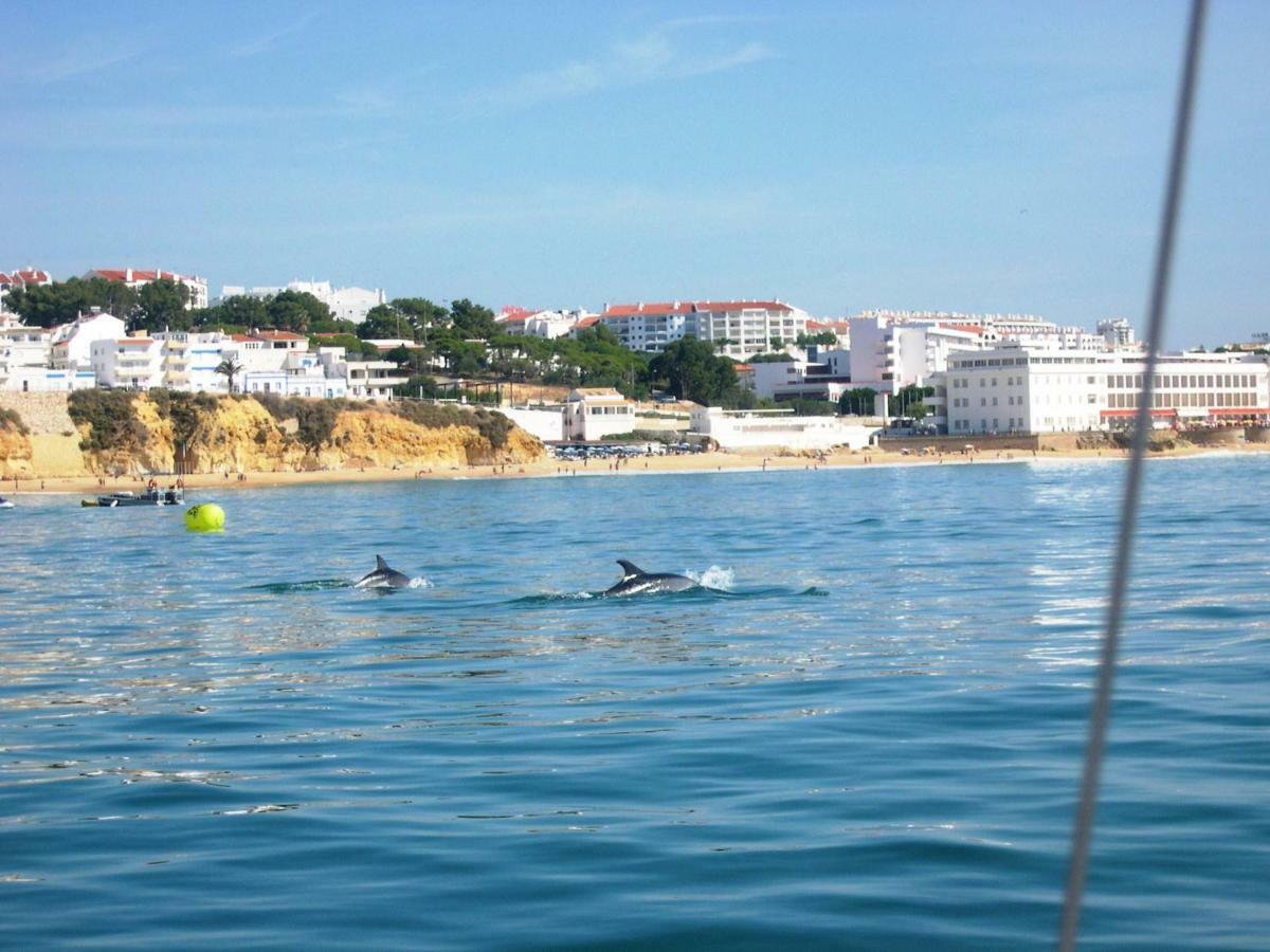 Villa Eber - Independent 1 & 2 Bedroom Apartments, Pool, Air Con, Fast Wi-Fi, Near Old Town Of Albufeira And Beaches Екстер'єр фото
